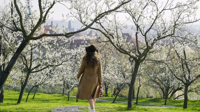 Back view girl in hat goes under blossoming apple tree in natural park on hill slope in Prague. Following positive lady taking photo on smartphone while walking on trail through flowering garden