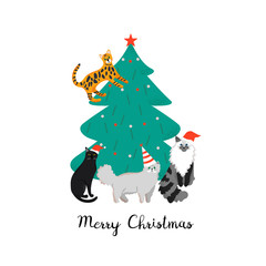 Design template card with cute domestic cats. Merry Christmas holiday poster with funny animals.