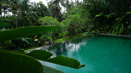 infinite pool in ubud hotel
