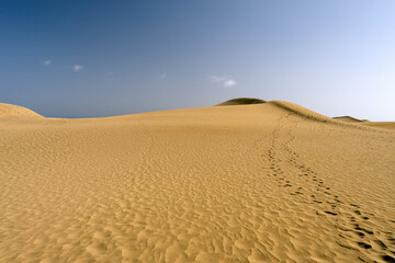The great desert Dunas de Maspalomas in Gran Canary