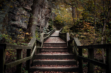 stairs in the park