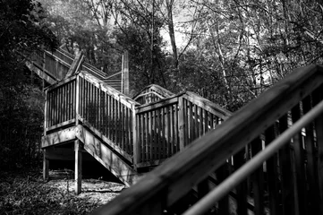 Gartenposter Schwarz und weiss alte Brücke im Wald