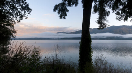 Mist on Lake Quinault