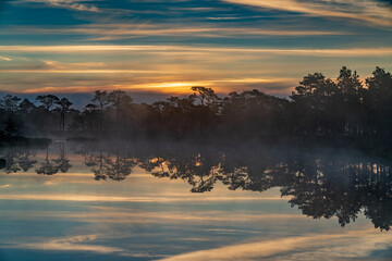 Sunrise in the bog landscape. Misty marsh, lakes nature environment background