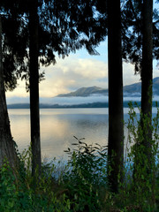 Peek at Lake Quinault