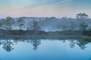 Sunrise in the bog landscape. Misty marsh, lakes nature environment background