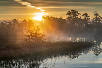 Sunrise in the bog landscape. Misty marsh, lakes nature environment background