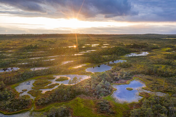 Sunrise in the bog landscape. Misty marsh, lakes nature environment background