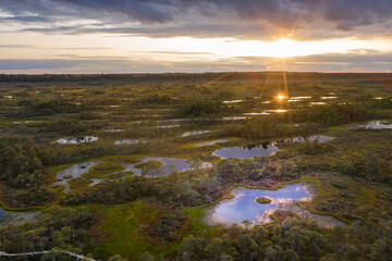 Sunrise in the bog landscape. Misty marsh, lakes nature environment background