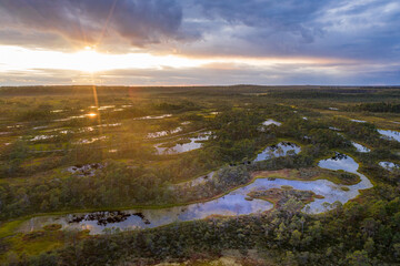 Sunrise in the bog landscape. Misty marsh, lakes nature environment background