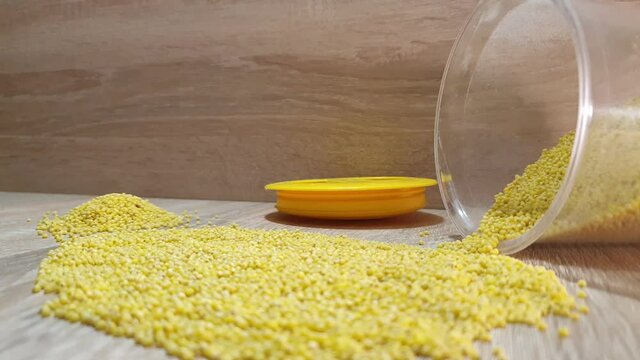 Millet groats. Millet close-up. Panicum grits. Wheat groats.