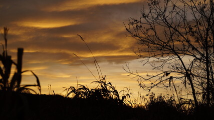 Obraz premium Abendstimmung