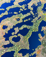 Sunset in the bog, golden marsh, lakes and nature environment. Sundown evening light in summer