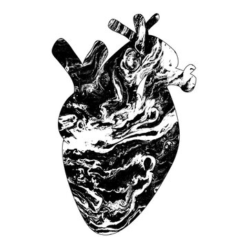 Marble human heart