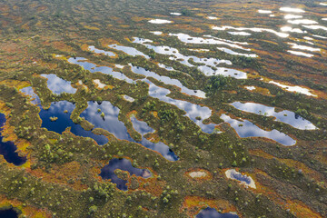 Sunset in the bog, golden marsh, lakes and nature environment. Sundown evening light in summer