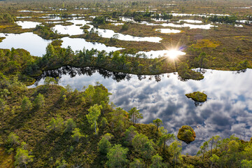 Sunset in the bog, golden marsh, lakes and nature environment. Sundown evening light in summer