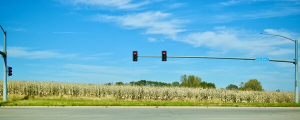 Stop Light in front of a Corn Field in Iowa