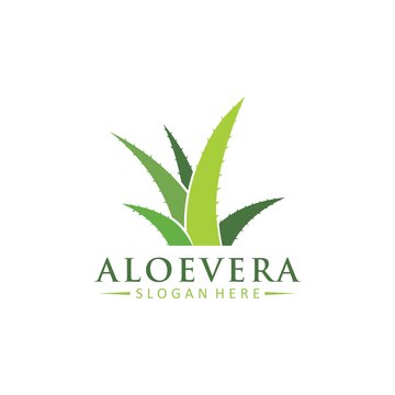 Aloe Vera Logo Vector Icon Concept