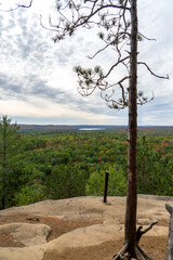 View over the autumnal Algonquin National Park. Ontario. Canada