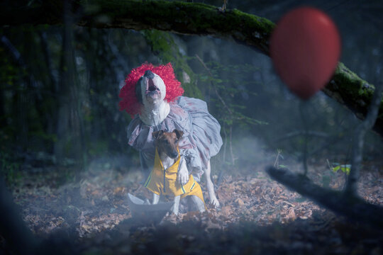 Gruseliges Hundeshooting: Clown Pennywise ist zur&uuml;ck