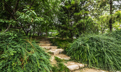 Traditional Chinese City Garden Park.