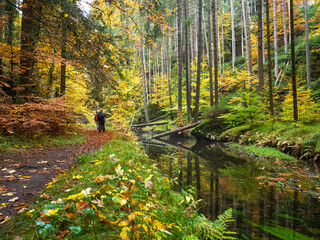 Goldener Herbst in der Sächsischen Schweiz