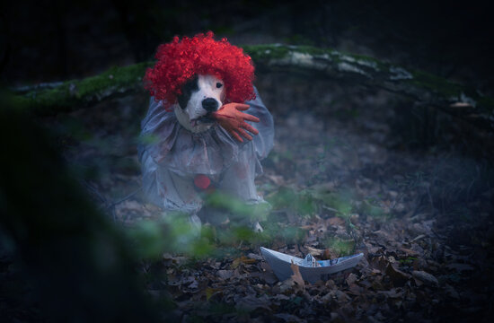 Gruseliges Hundeshooting: Clown Pennywise ist zur&uuml;ck