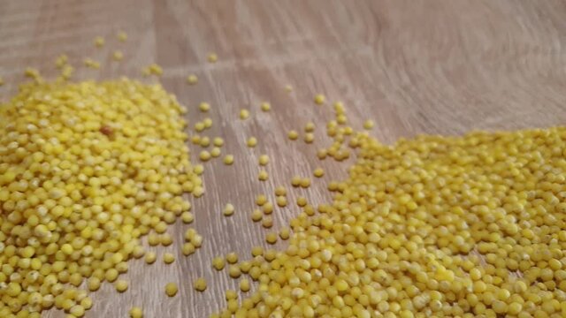 Millet groats. Millet close-up. Panicum grits. Wheat groats.