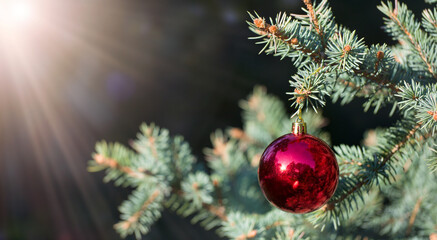 Decorated Christmas tree with red noel ball blurred background.