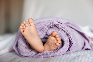 Adorable newborn baby girl feet wrapped in lilac wrap, babyhood and maternity concept