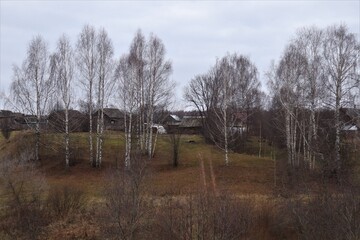 A small village with dark wooden houses and bare birches.
