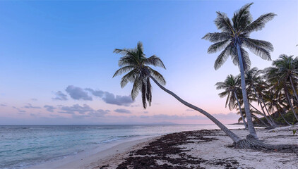 Fototapeta na wymiar Peaceful atmosphere on beach with palms