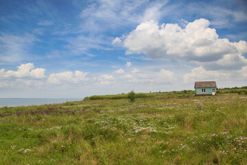 Small House in the Green Field