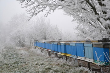 Beehives on an outcast misty winter day