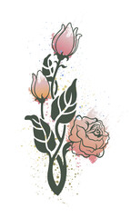 Elegant rose illustration - 299996907