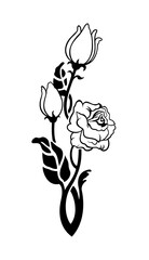 black rose silhouette - 299996914