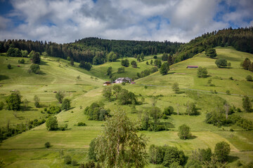 Schwarzwald an sonnigen Tagen.