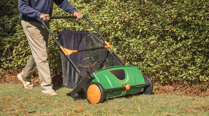 Man using manual push lawn sweeper to remove fall leaves from residential backyard grass lawn.