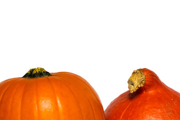 Two orange pumpkins isolated on white background with copy space.