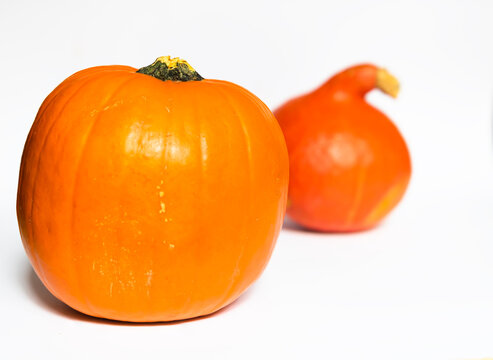 Two orange pumpkins isolated on white background with copy space.