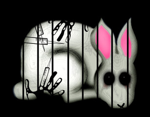 Animal testing rabbit