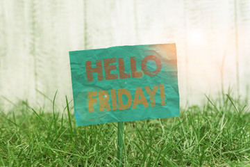 Text sign showing Hello Friday. Business photo showcasing used to express happiness from beginning of fresh week Plain empty paper attached to a stick and placed in the green grassy land
