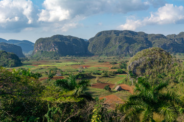 Fototapeta na wymiar View of the Valle de Vinales