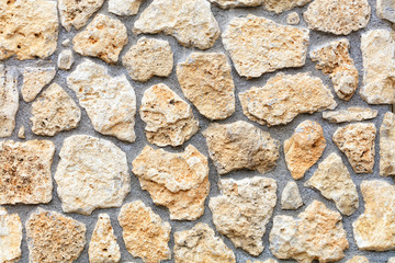 Texture of a stone wall extruded from a large cobblestone of a shell rock, closeup.