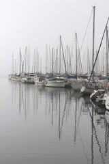 Fototapeta premium brume matinale