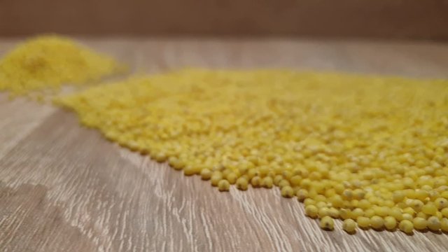 Millet groats. Millet close-up. Panicum grits. Wheat groats.