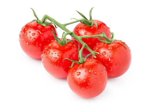 Branch of fresh cherry tomatoes, isolated on white background