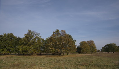 Früheres Flugfeld Johannistahl, heute Landschaftsschutzgebiet
