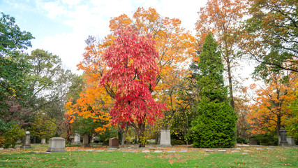 Beautiful Rest on a Fall Day