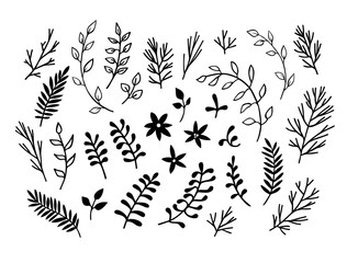 Floral silhouettes set. Leaves and flowers elements collection. Vector illustration.